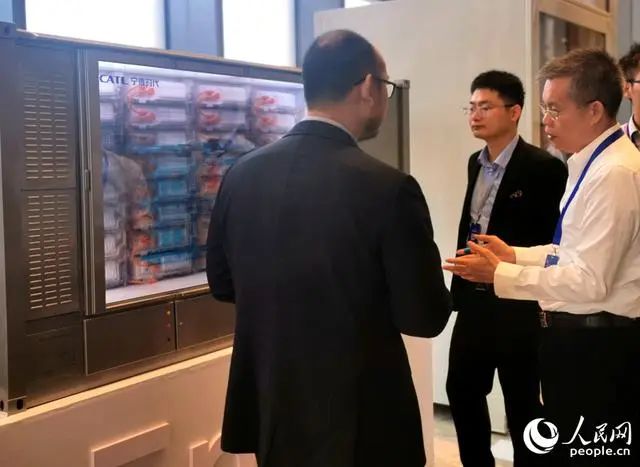 经济观察：新型储能的“冰”与“火”